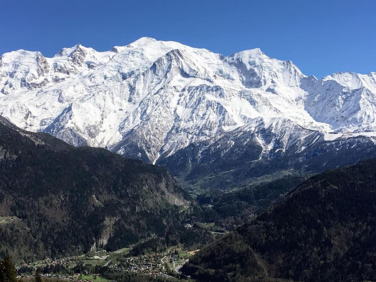 Fizhome Mt Blanc باسي المظهر الخارجي الصورة