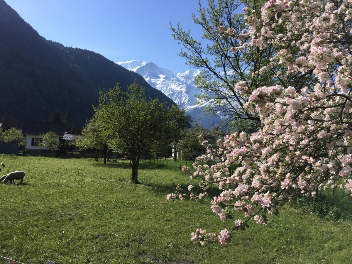 Fizhome Mt Blanc باسي المظهر الخارجي الصورة